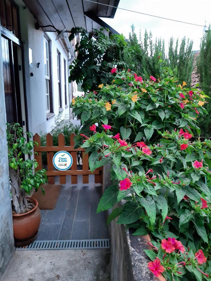 Casa Do Sr. Falcao ミランダ・ド・コルヴォ エクステリア 写真