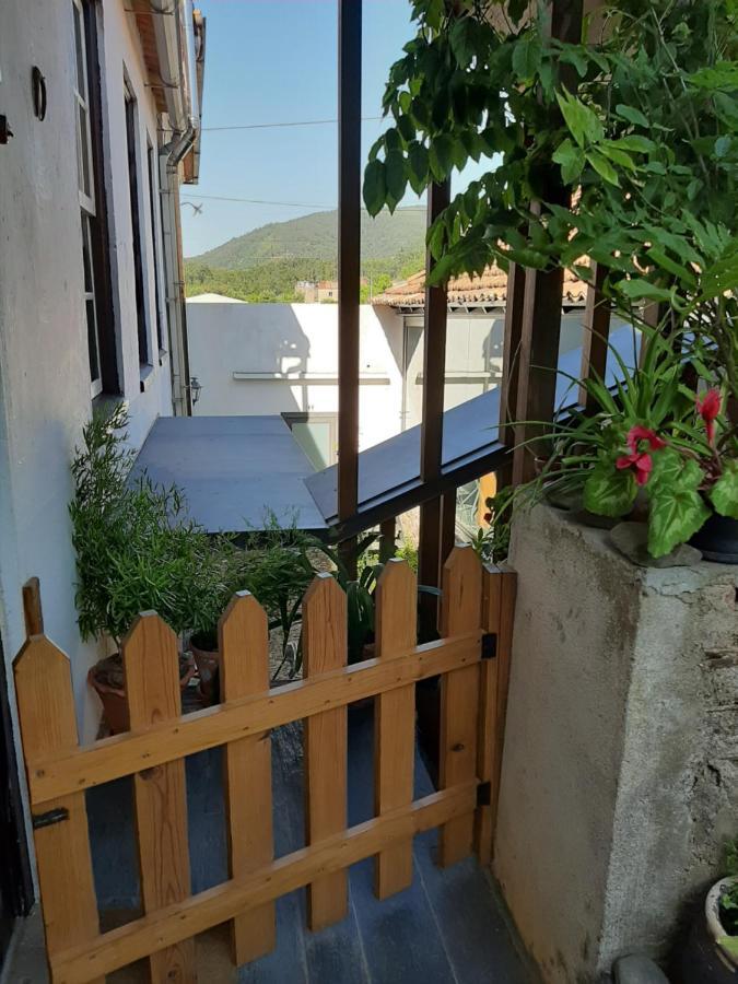 Casa Do Sr. Falcao ミランダ・ド・コルヴォ エクステリア 写真