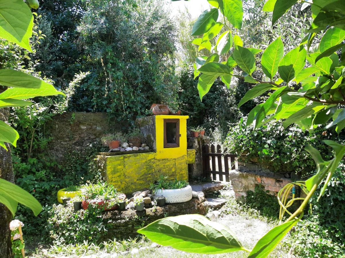 Casa Do Sr. Falcao ミランダ・ド・コルヴォ エクステリア 写真