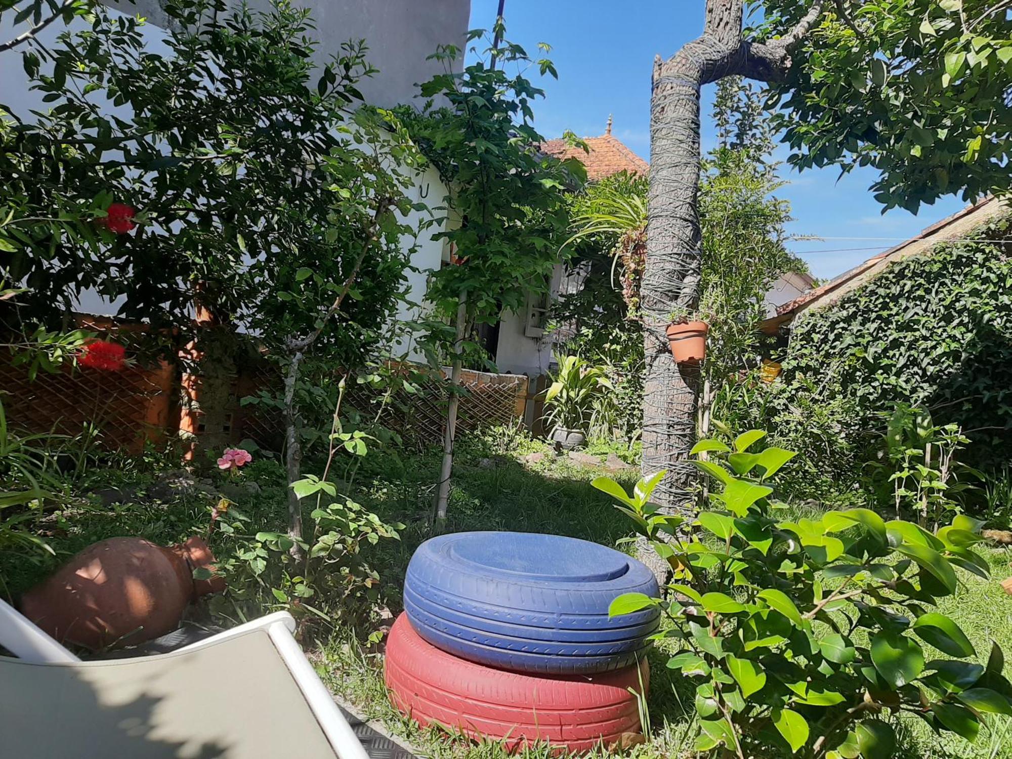 Casa Do Sr. Falcao ミランダ・ド・コルヴォ エクステリア 写真