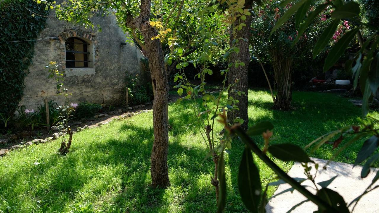 Casa Do Sr. Falcao ミランダ・ド・コルヴォ エクステリア 写真